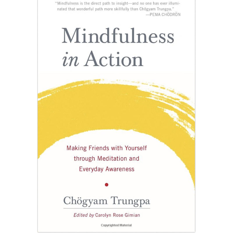 Mindfulness in Action, Book